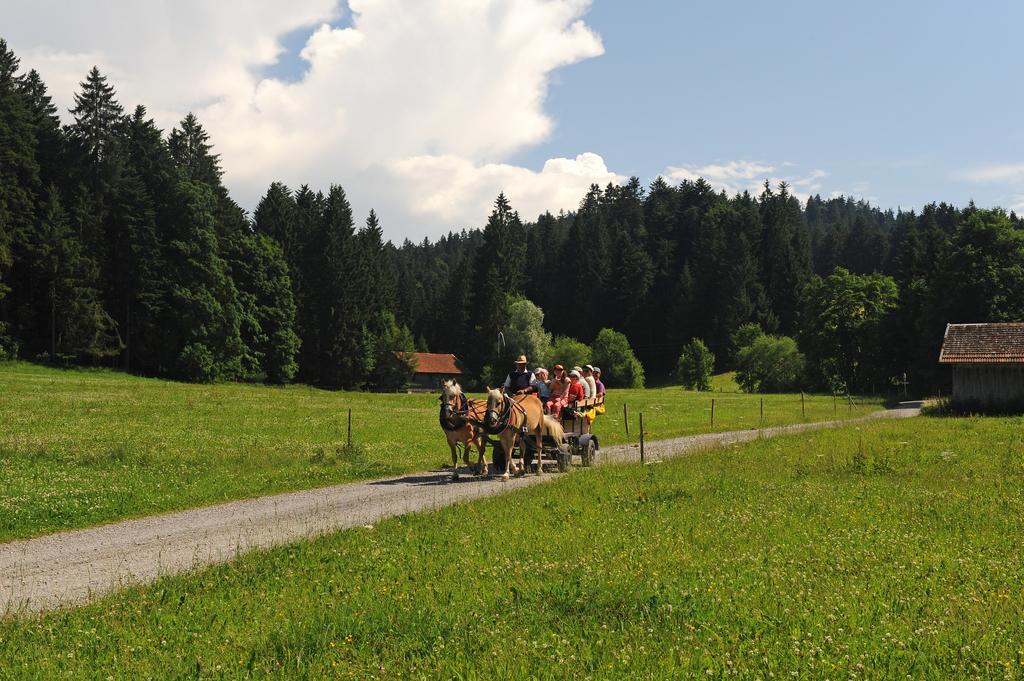 Hotel Bergblick Scheidegg Dış mekan fotoğraf